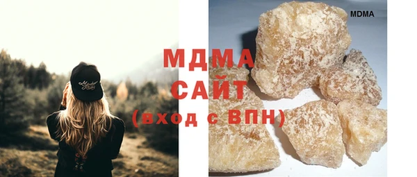 индика Алексин