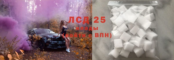 индика Алексин