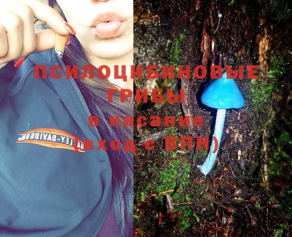 PSILOCYBIN Алзамай