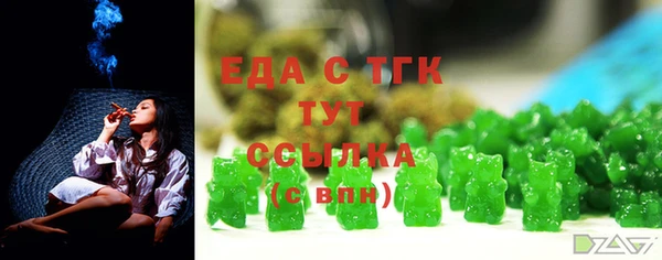 индика Алексин