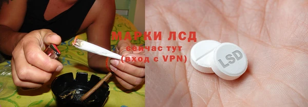 PSILOCYBIN Алзамай