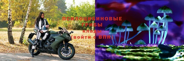 PSILOCYBIN Алзамай