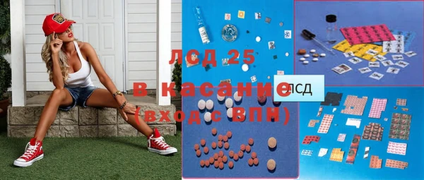 PSILOCYBIN Алзамай