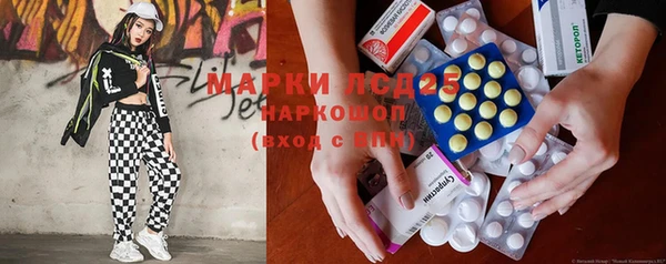 PSILOCYBIN Алзамай