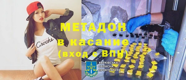 индика Алексин