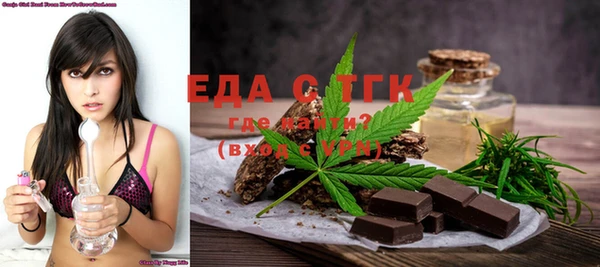 индика Алексин