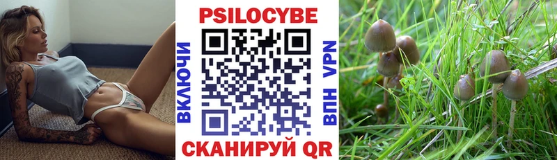 наркошоп Иркутск Псилоцибиновые грибы Psilocybe